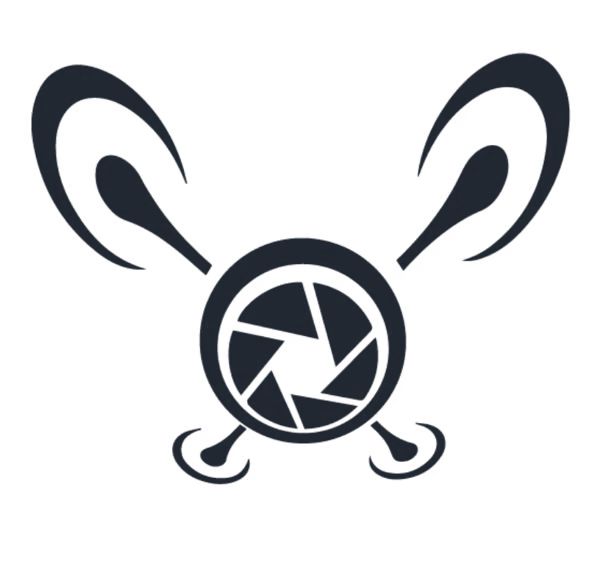 Flyby Logo